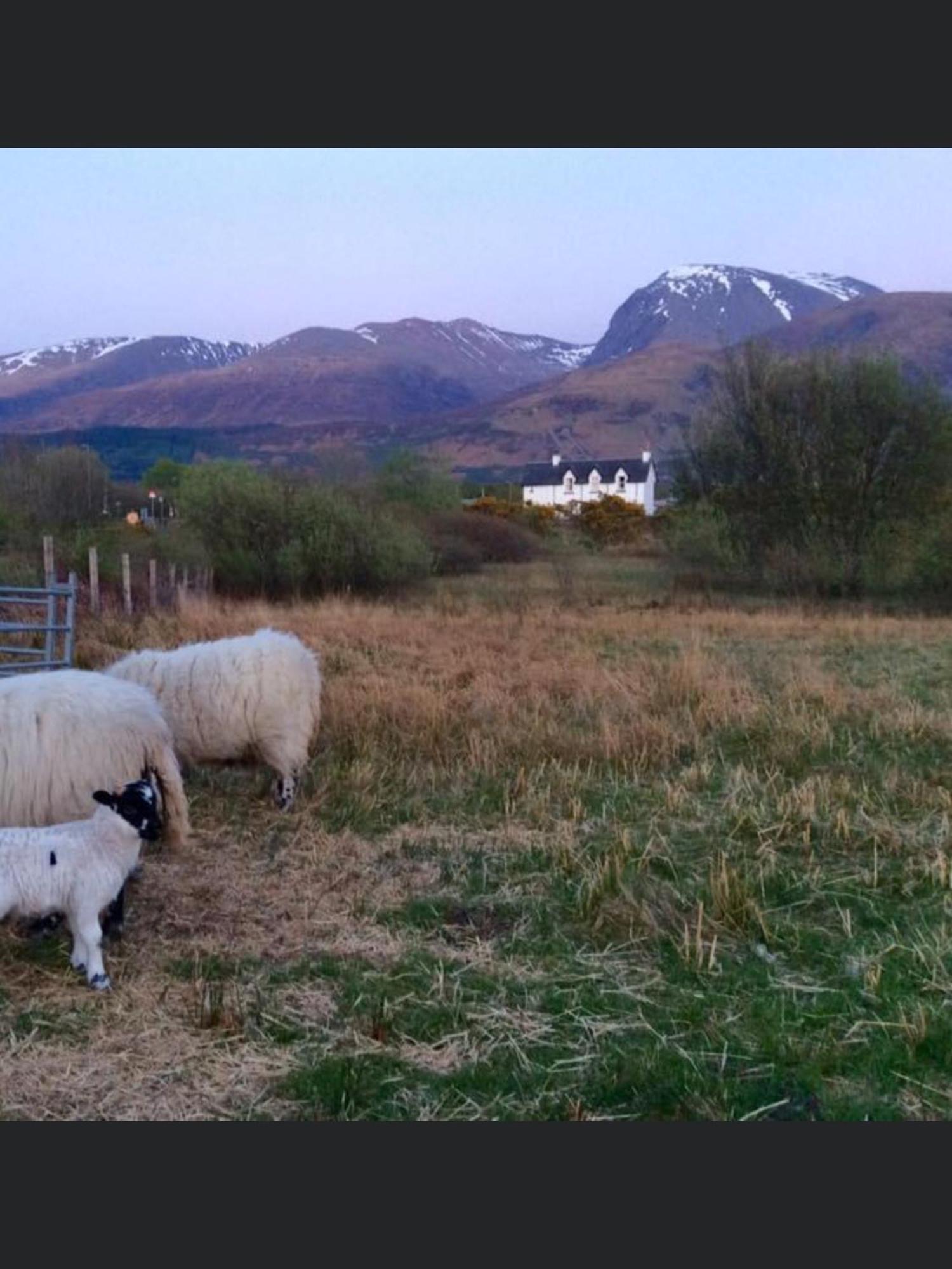 The Shielings By Inverlochy Villas Fort William Extérieur photo